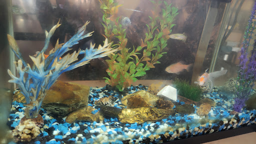 Photo of Khyber Chefs - Pak/Indian Halal Food Restaurant in Milton Keynes - 31 Stratford Rd, Wolverton, Milton Keynes MK12 5LW